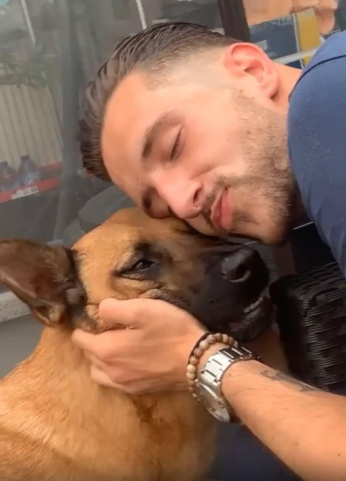 Een hond krijgt persoonlijke aandacht bij PelsPlezier
